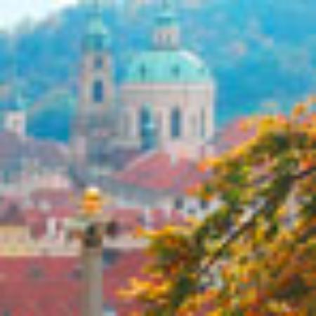 Friends Fish & Chips